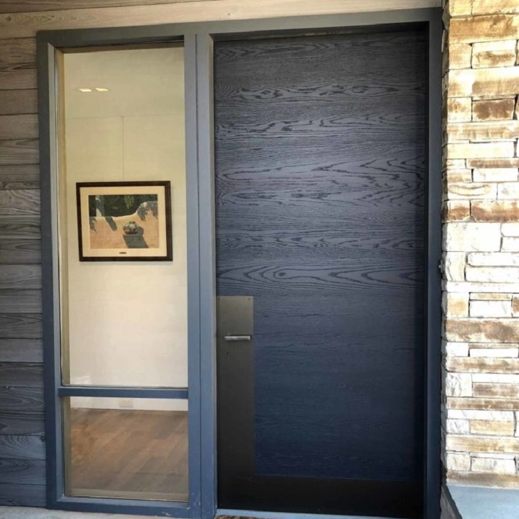Modern Designs Exterior House Front Entry Wood Pivot Door
